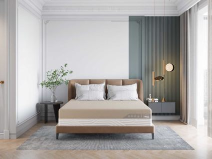 Матрас Промтекс-Ориент Duet Cocos Strutto 160х200